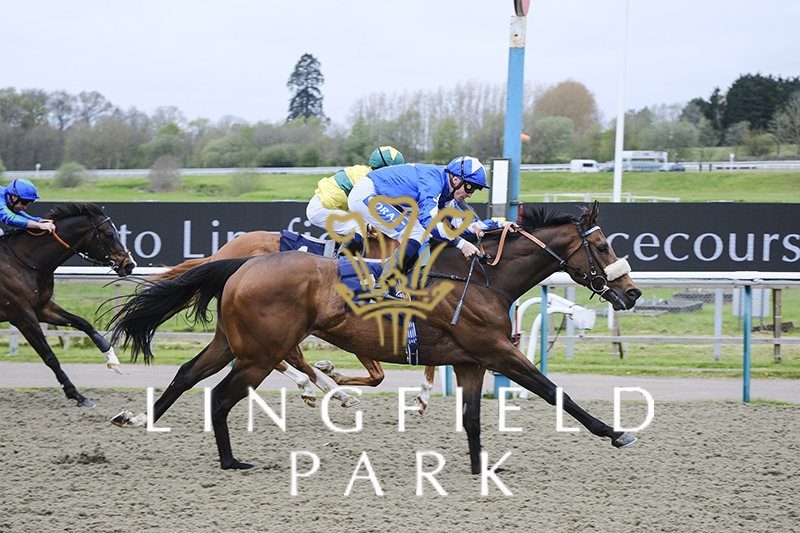 RACE 5 RESULT - Get The Inside Track With raceday-ready.com Handicap 🏆 Legal Reform Jockey: @davidprobert9 Trainer: @ahaynesracing Owner: Gb Civil Engineering (Leicester) Ltd