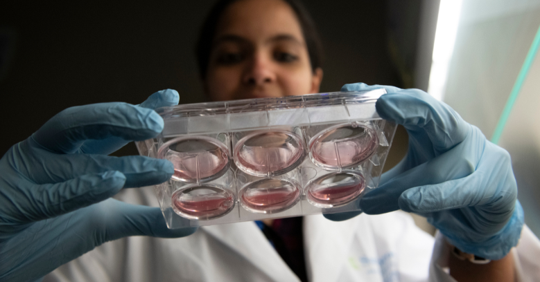 Research Canada (@researchcda) on Twitter photo This week’s #RCUpdate features advancements in brain research from <a href="/Sunnybrook/">Sunnybrook Health Sciences Centre</a>, <a href="/RIMUHC1/">Research Institute of the MUHC (The Institute)</a>, <a href="/SickKidsNews/">The Hospital for Sick Children (SickKids)</a>, <a href="/KidsBrainHealth/">Kids Brain Health Network</a>, <a href="/TheRoyalMHC/">The Royal</a> and <a href="/NovartisCanada/">Novartis Canada</a>!
Learn more about the latest 🇨🇦 research: ow.ly/ifzl50Rcmow#Ne…
<a href="/Rob_Oliphant/">Rob Oliphant</a> <a href="/MarcMillerVM/">Marc Miller ᐅᑭᒫᐃᐧᐅᓃᐸᐄᐧᐤᐃᔨᐣ</a> <a href="/randeepssarai/">Randeep S. Sarai</a> @Yasir_Naqvi This week’s #RCUpdate features advancements in brain research from <a href="/Sunnybrook/">Sunnybrook Health Sciences Centre</a>, <a href="/RIMUHC1/">Research Institute of the MUHC (The Institute)</a>, <a href="/SickKidsNews/">The Hospital for Sick Children (SickKids)</a>, <a href="/KidsBrainHealth/">Kids Brain Health Network</a>, <a href="/TheRoyalMHC/">The Royal</a> and <a href="/NovartisCanada/">Novartis Canada</a>!
Learn more about the latest 🇨🇦 research: ow.ly/ifzl50Rcmow#Ne…
<a href="/Rob_Oliphant/">Rob Oliphant</a> <a href="/MarcMillerVM/">Marc Miller ᐅᑭᒫᐃᐧᐅᓃᐸᐄᐧᐤᐃᔨᐣ</a> <a href="/randeepssarai/">Randeep S. Sarai</a> @Yasir_Naqvi