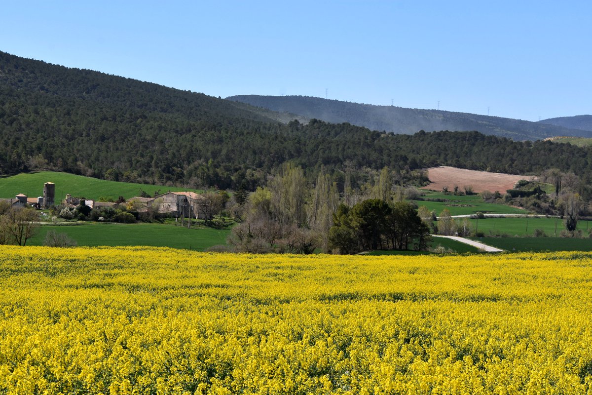 Montalegre, Vall de la Brufaganya, Pontils, Conca de Barberà #pontils #concadebarberà #tarragona #descobrircat #ElTemps3Cat #paisatgesdecatalunya #brufaganya #lovetravel #spaintravel