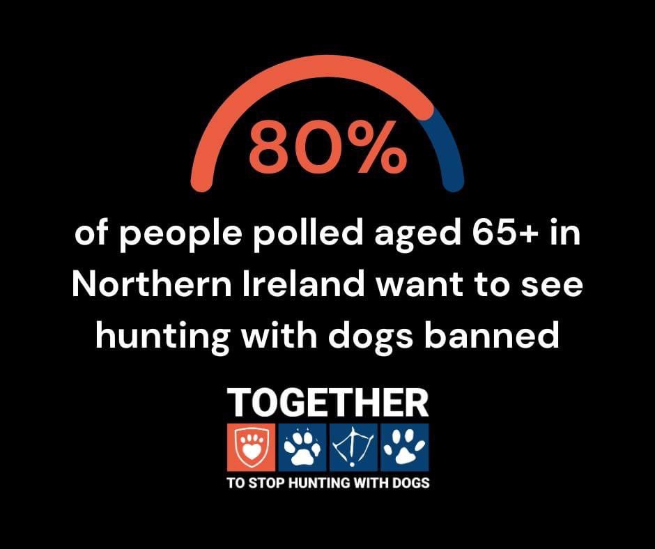 According a recent poll conducted by LucidTalk Limited: 🐇 82% support banning hare hunting 🦌 81% are in favour of banning deer hunting 🐰 80% are calling for an end to rabbit hunting 🦊 77% of respondents want fox hunting banned Sign the petition: takeaction.league.org.uk/page/144213/pe…