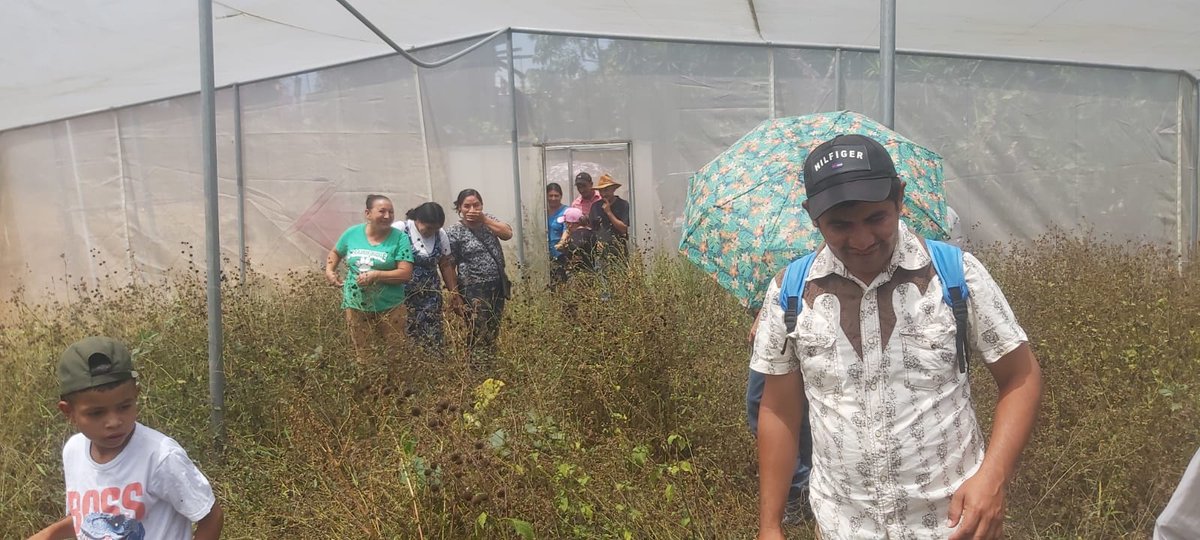 📍Comunidad San José, San Rafael, Lempira 📣Socialización #HuertosEscolaresPedagógicos CEB Alberto Galeano, participaron madres y padres quienes aceptaron la iniciativa, se conformó y juramentó el comité, asumiendo compromisos para velar por el buen funcionamiento.🤝💧🌱🇭🇳🇺🇳