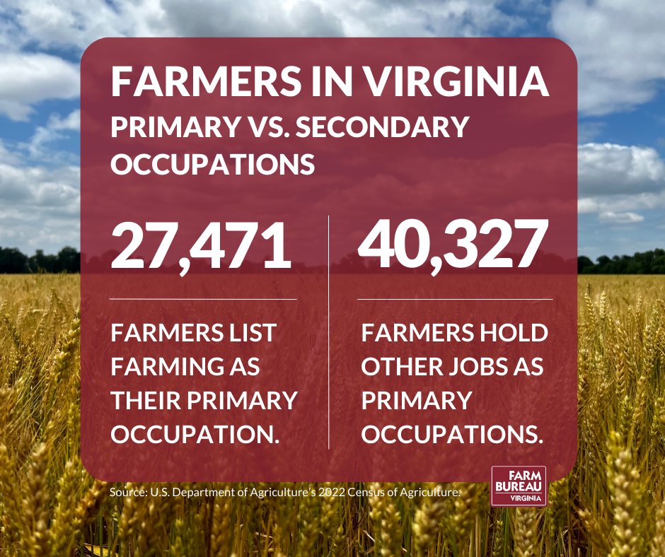 While the overall number of agricultural producers in Virginia has dropped in recent years, 40,327 farmers hold other jobs as primary occupations. Farming is the primary occupation for 27,471 producers.

#AgCensus #Farmers #VirginiaFarmers #VaFarmBureau