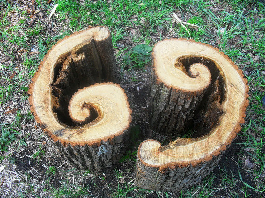 colette (@colettebrnheim) on Twitter photo 