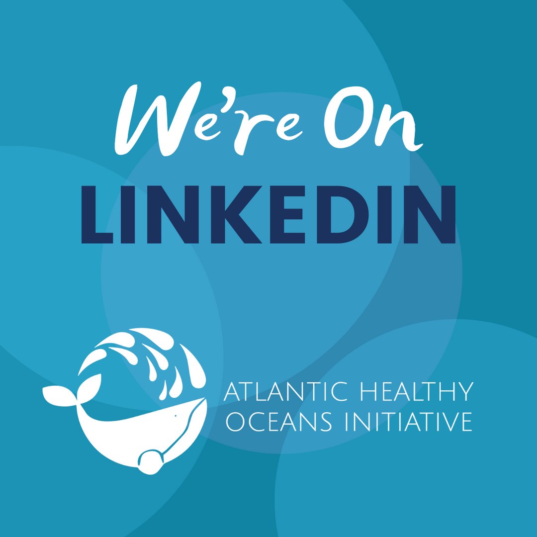 We work to look after the health &amp; prosperity of our ocean and coastal communities in Western NL and Atlantic Canada.

A big part of our work is building networks of like-minded people - will you join us on LinkedIn to share ideas and resources?
👇
bit.ly/3vHN0bj

#AHOI
