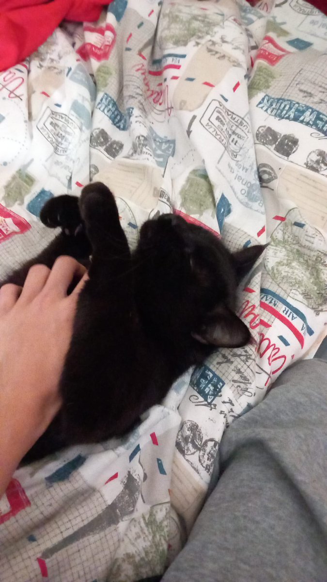 zzapi_'s tweet image. Es el amor de mi vida