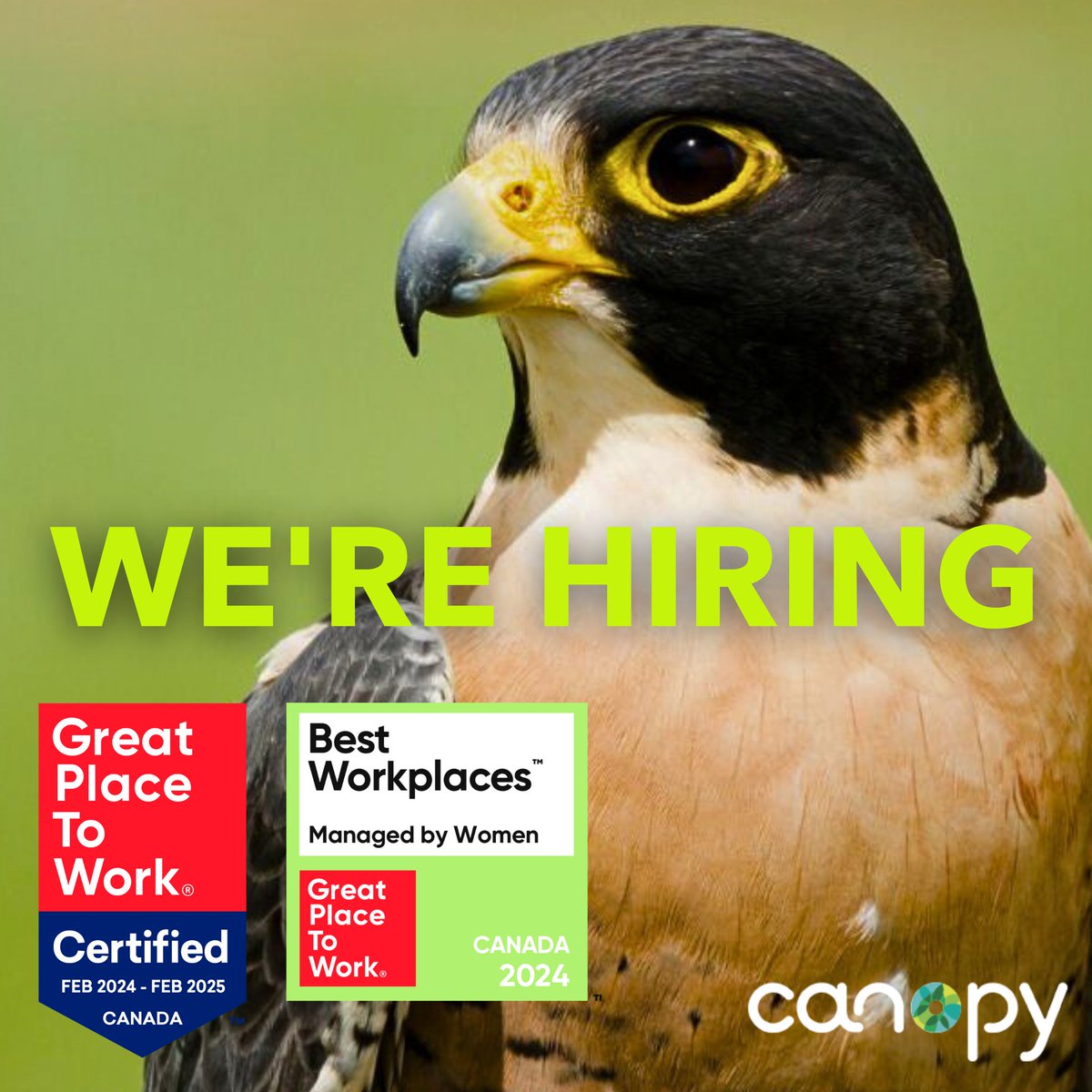 Join us! @CanopyPlanet is on the look out for a Director of Institutional Giving who can soar high as our Fundraising Falcon. Apply today and make a real impact by helping Canopy save the world’s most endangered forests: bit.ly/49qyp1G | #NowHiring #GreenJobs