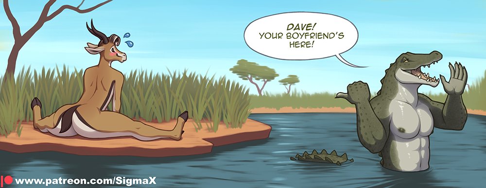 Woodland Coatrack tweet media