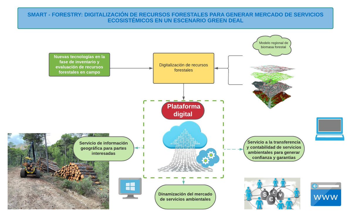 GO Smart-Forestry desarrollará una #plataformadigital en su web gosmartforestry.es que recogerá los montes/proyectos con disponibilidad de #creditoscarbono. <a href="/AfaProfor/">ASOCIACIÓN FORESTAL ANDALUZA</a> <a href="/foresna/">Foresna Zurgaia</a> <a href="/FCesefor/">Fundación Cesefor</a>