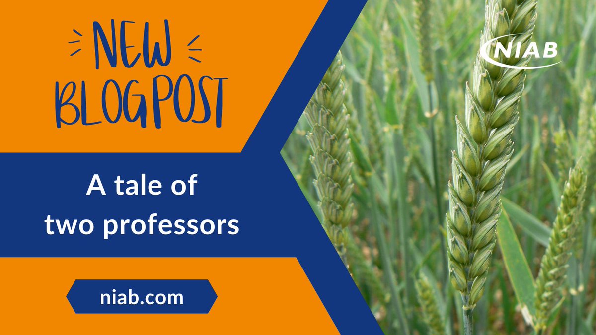 New #blog: A tale of two professors Jim Orson discusses the importance of April weather to wheat yields ➡️ ow.ly/MFQh50RcoSS