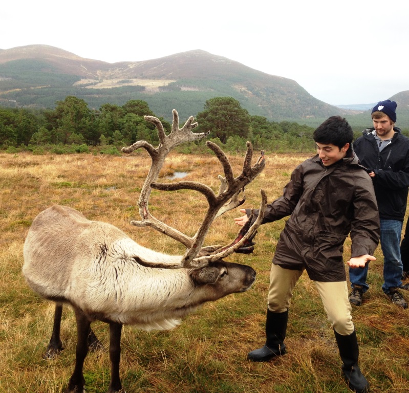 HELP A HERDER! We're looking for photos of people and reindeer together... Any particularly nice pics that you are happy for us to potentially use for publicity at some point? Please feel free to fire them over to us on email - info@cairngormreindeer.co.uk 📸 IES Abroad