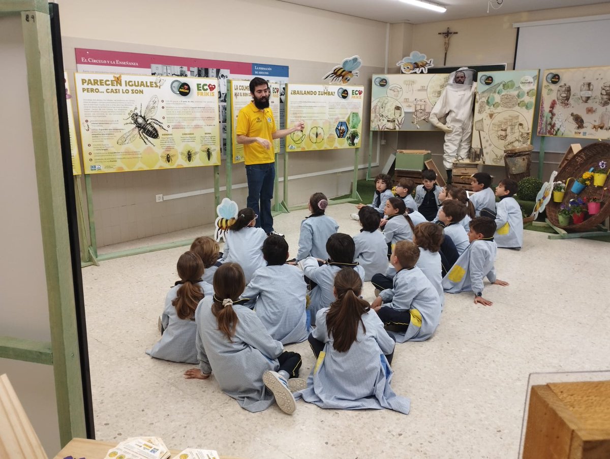 #Burgos Hemos comenzado con las visitas guiadas a la exposición de '1000 y 1 abejas, esenciales para la vida' en el @ColegioCirculo con alumnos de 3º, explicando la importancia de los polinizadores para nuestras vidas y por supuesto como poder cuidarlos un poquito mejor.