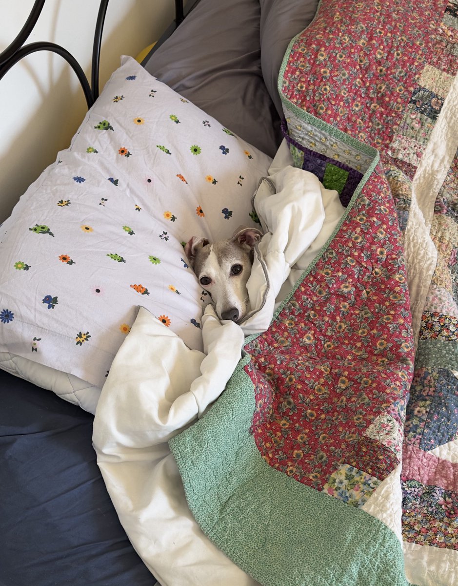 el frío que hace por el amor de dios soy este