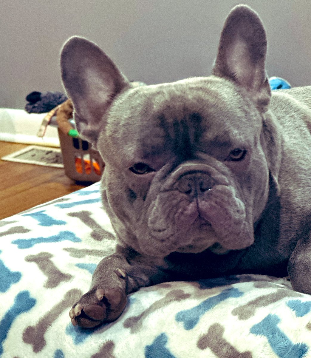 Kali Reis tweet media