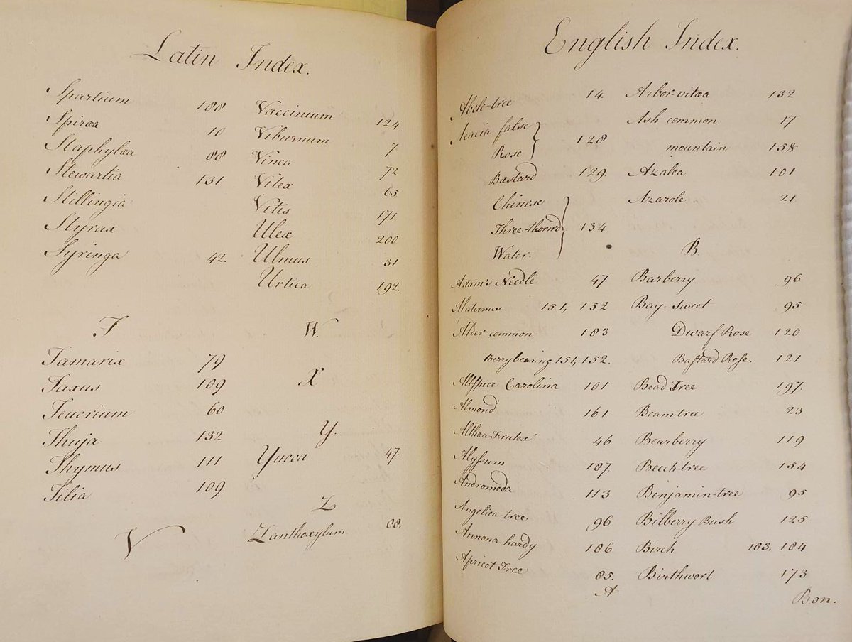 One of the oldest Archive records of plants in our Gardens is this 'Catalogue of Trees and Shrubs' from 1773. It was found in Windsor Castle library almost 200 years later and transferred by the Royal Librarian to the Keeper of the Herbarium & Library, Arthur Cotton.