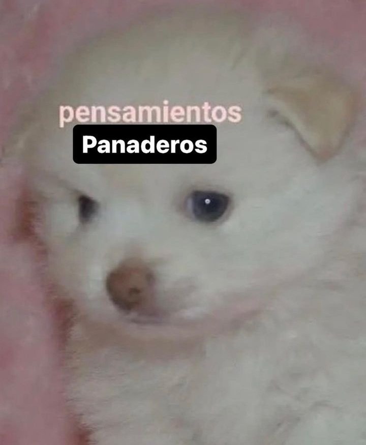 se esperan temperaturas de menos de 15° para el resto de la semana