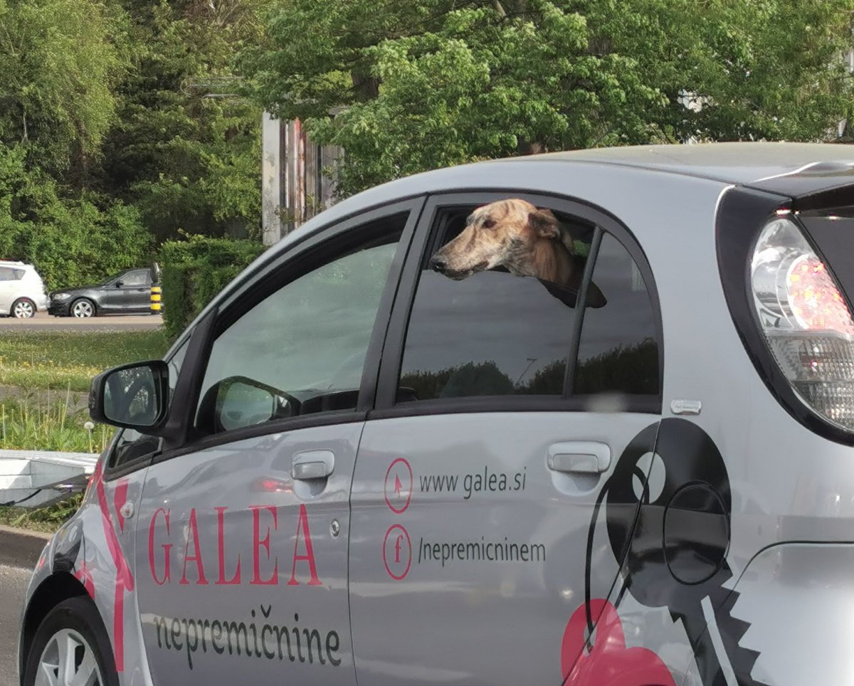 Božo Simonič tweet media