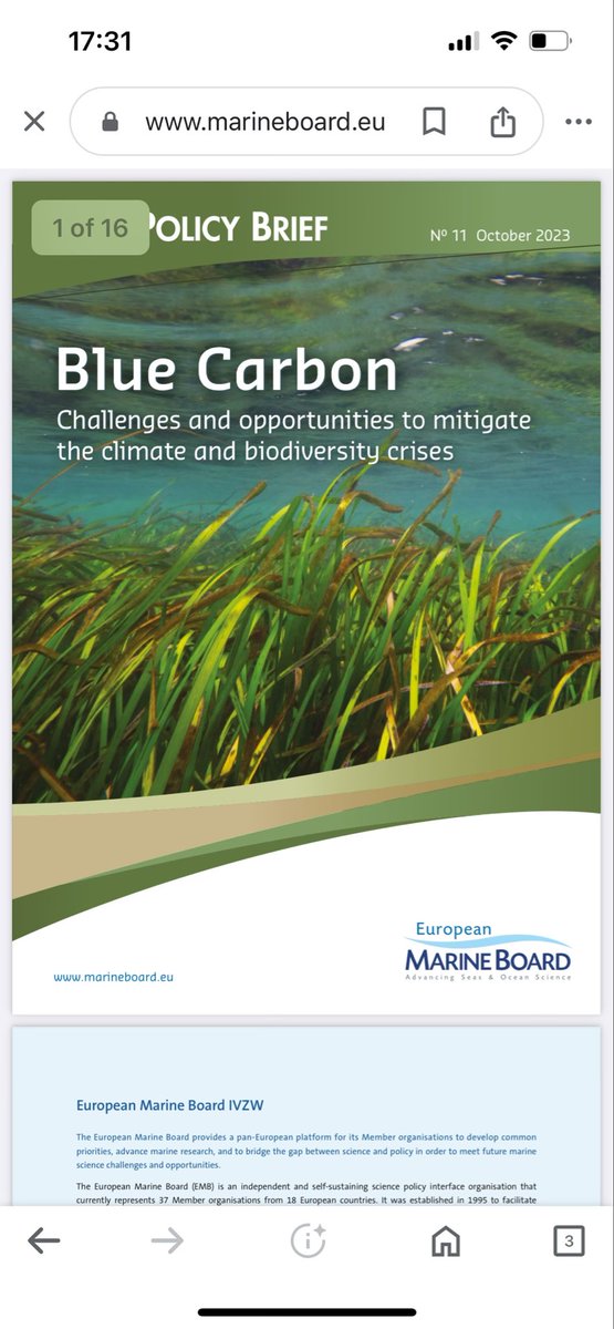 sheilaheymans's tweet photo. Fabio Berzaghi talks about the biological carbon pump - see more about why that is important in the @EMarineBoard policy brief on -#BlueCabon here https://t.co/TeGFYIMpuZ https://t.co/325zX9P9Ec