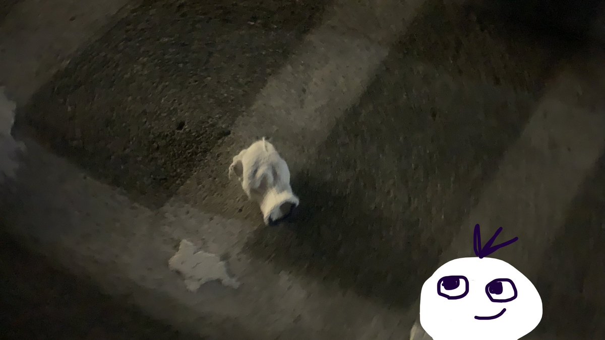 よ、夜の多摩美に、みーが……
と思ったら、軍手だったった
な〜んだつまんないのーー

#軍手　#多摩美　
#TAUHUNT #DAILYTAU