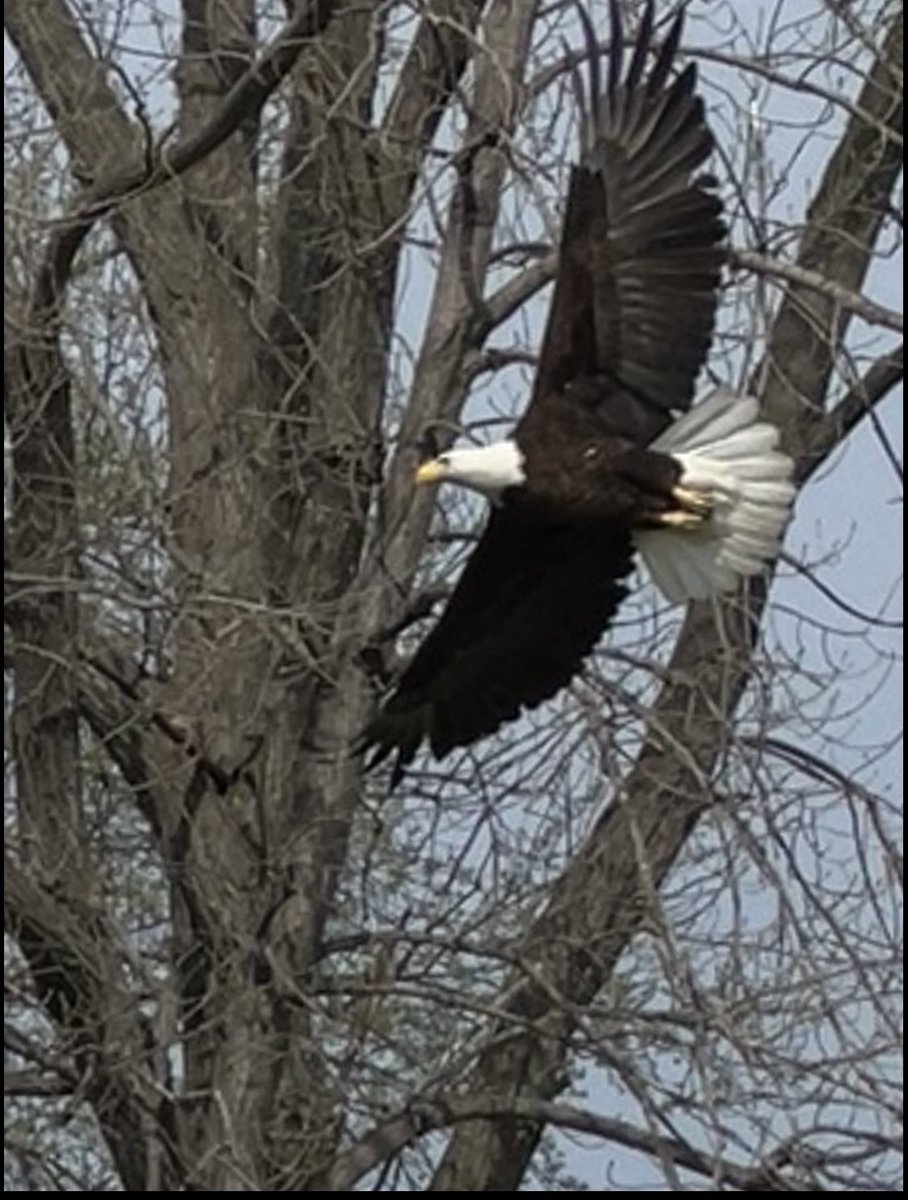 Katee Porter tweet media