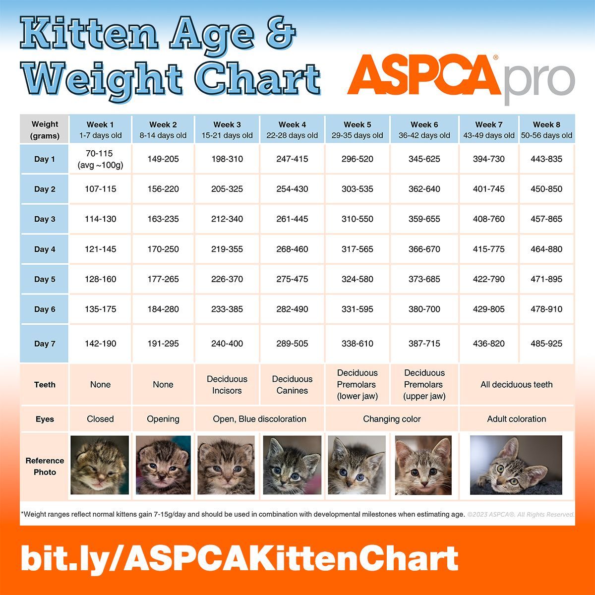 It's #WittleWhiskersWednesday! 💙🐈🐈🐈💛 Knowing a kitten's age is important in determining needs & how to help. @aspcapro's great 'Kitten Age & Weight Chart' details normal weights & developmental milestones: bit.ly/ASPCAKittenCha… @bideawee #nycfci #kittenseason #tnr