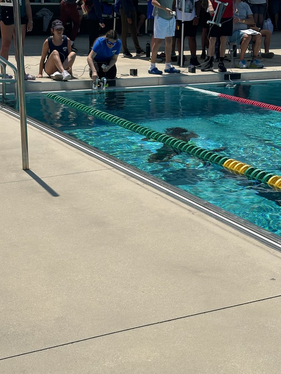 Mary Fish tweet media