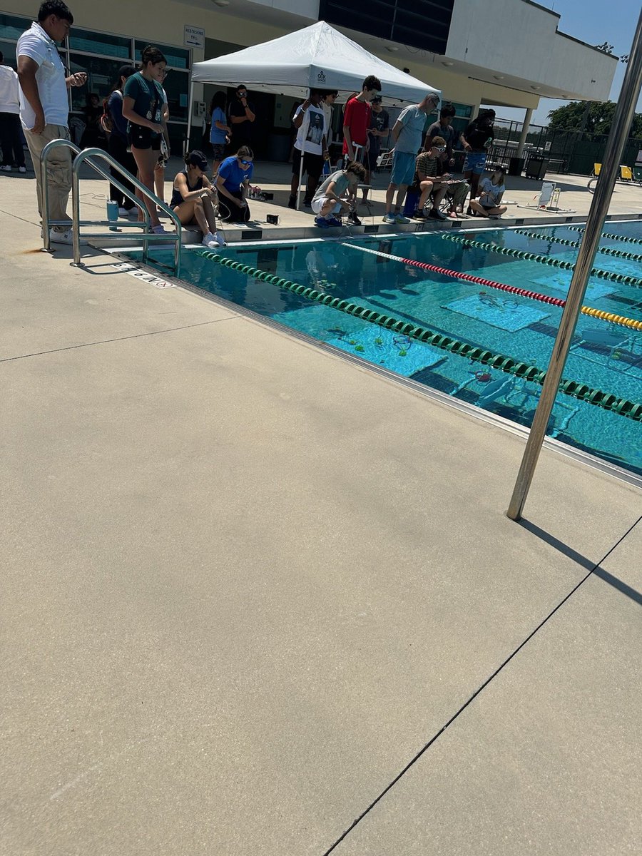 Mary Fish tweet media