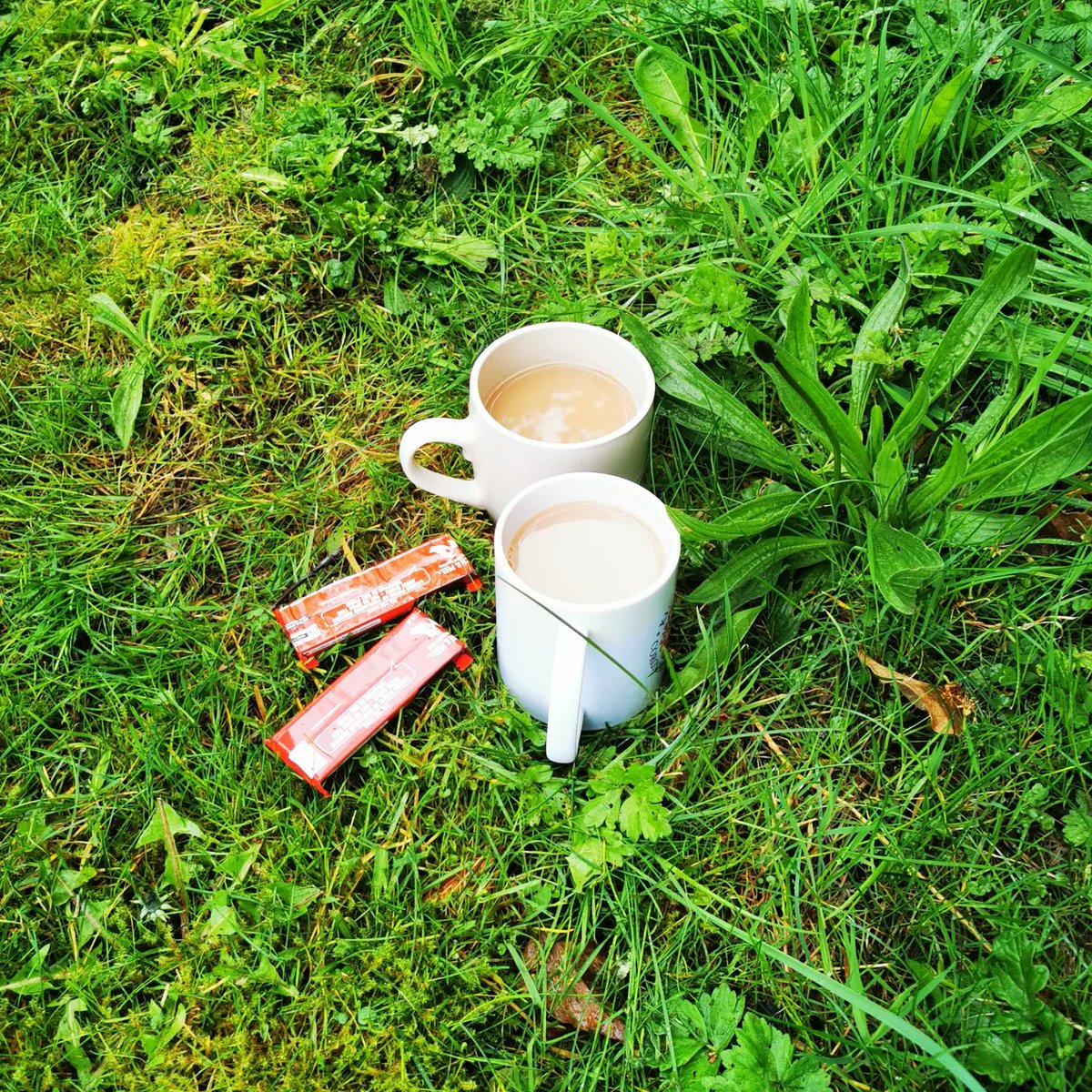 Today's lock keeping session was cutting back and clearing a tree that had fallen over the weir. It was a bit damp but we got a cuppa from the lovely lady in the lock cottage #volunteerbywater #VLK #Atherstonelocks #CoventryCanal