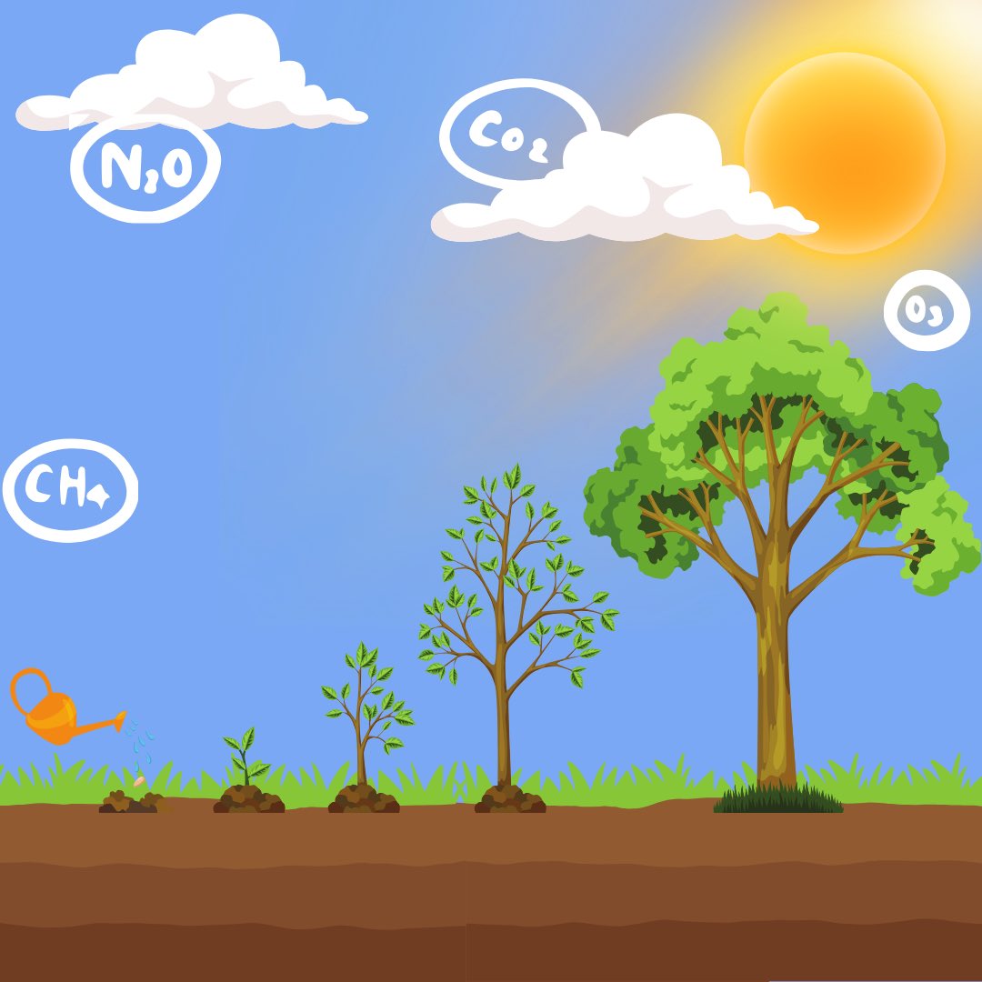 Discover how greenhouse gases and temperature influence tree growth with this #CLEANactivity from @UMich. Students analyze data to understand the temperature-tree growth relationship! This teaching across the curriculum activity focuses on math. tinyurl.com/enua7cpb