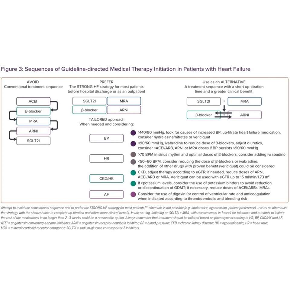 🔴 Initiation and Up-titration of Guideline-directed Medical Therapy for Patients with Heart Failure: Better, Faster, Stronger! #OpenAccess #2024Review 

cfrjournal.com/articles/initi…
 #CardioTwitter #MedTwitter #medtwitter #cardiotwiteros #CardioEd #MedX #MedEd #cardiotwitter