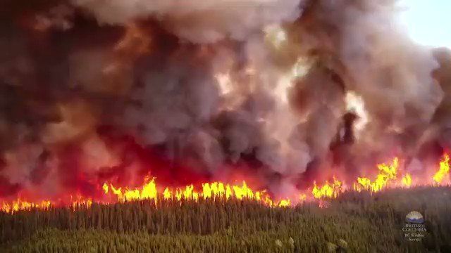 MikeHudema's tweet photo. 55 million+ people across the US were under air quality alerts.
13 million hectares burned by wildfires in Canada this year — 15x normal. 

This is what the climate crisis looks like. No time to wait. #ActOnClimate 

 https://t.co/odiVdRfQW9 https://t.co/iX6zunxXIr