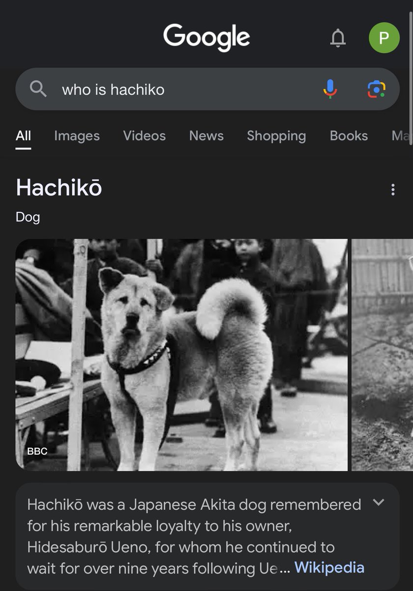 Hachiko tweet media