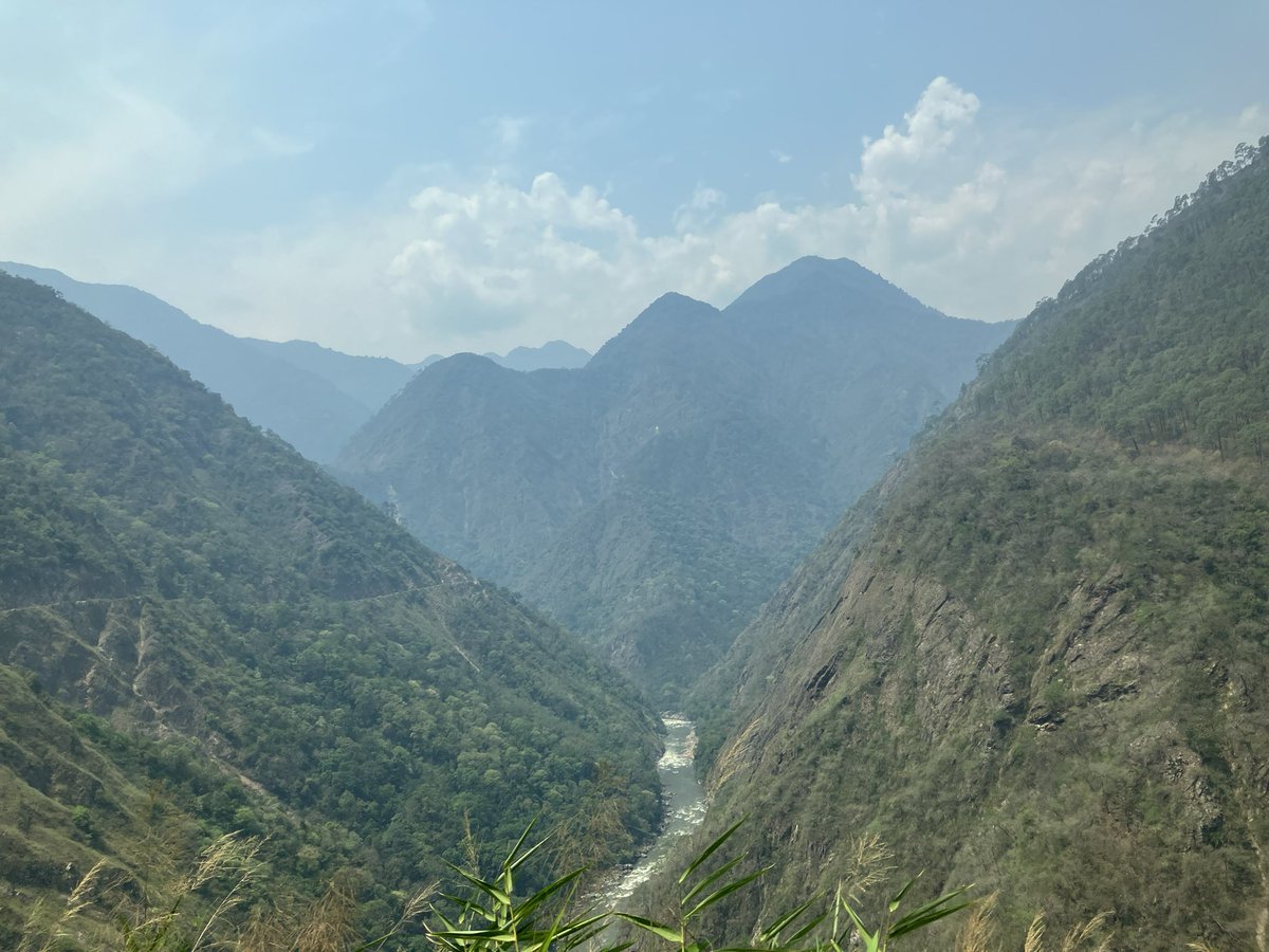 David Walsh tweet media