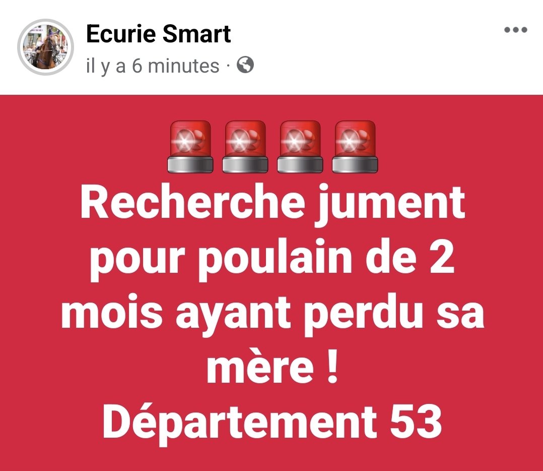 Christian LeBarbey (@chrisitstrot) on Twitter photo 