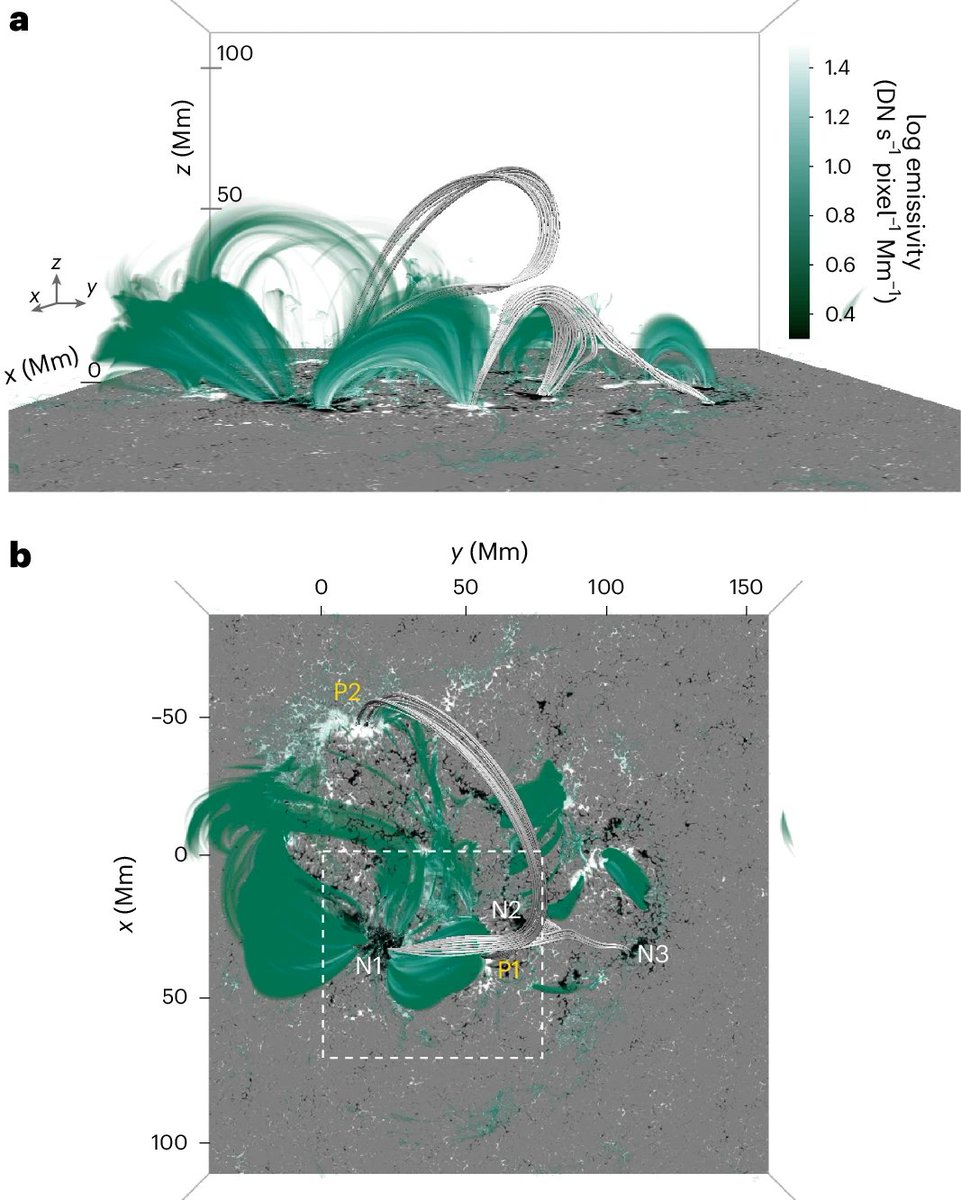 The solar corona is very hot in general, but it is especially hot, up to 10 million Kelvin, over the cores of active regions. A model from Lu et al. shows that continuous flux emergence from magnetic reconnection steadily heats this plasma. nature.com/articles/s4155…