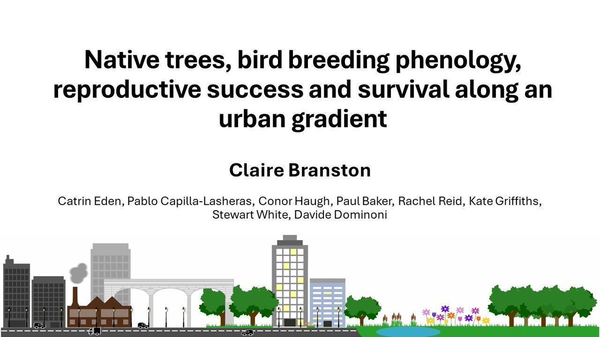1/6 #BOU2024 #SESH4 #ornithology Urbanisation is occurring rapidly across the globe. Urban areas are characterised by: 🌆 Increased amounts of impervious surfaces; 🌆 Altered microclimates; 🌆 Novel community compositions