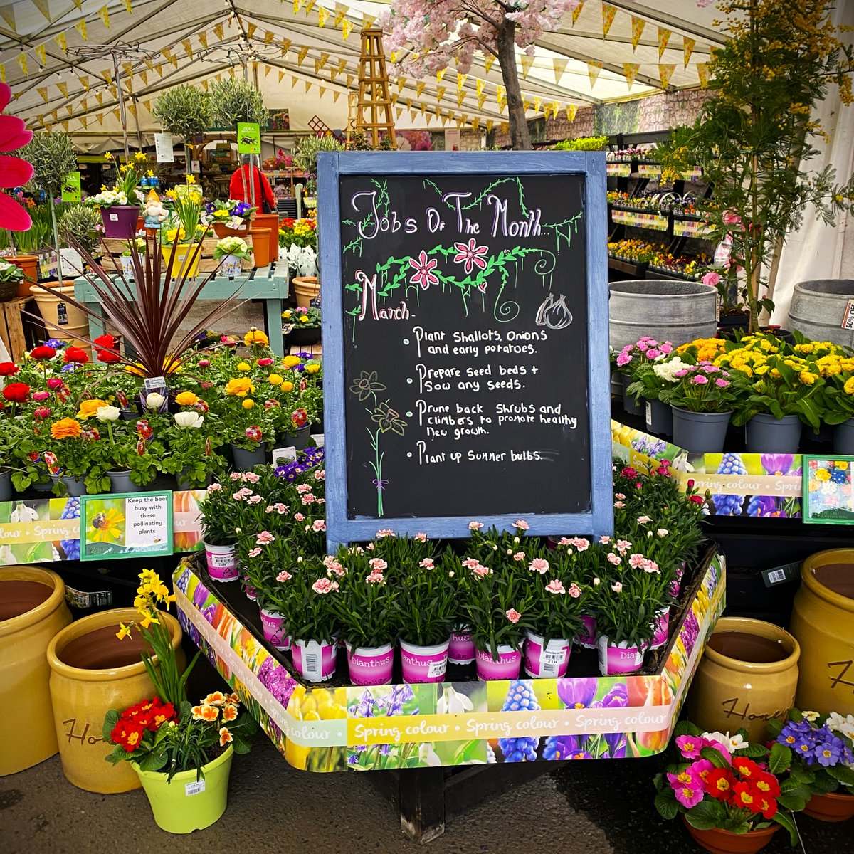 stagecraft_uk's tweet photo. ✨ We have recently completed a retail display project with the award-winning Old Railway Line Garden Centre. 
💻 View the full case study on our website 
👉 https://t.co/nwsnSi6vxW 
 
Contact us to discuss your needs 
📧 sales@stagecraft-uk.com 
📞 01686 629 096

#retaildisplay https://t.co/WUR2TQbpL2
