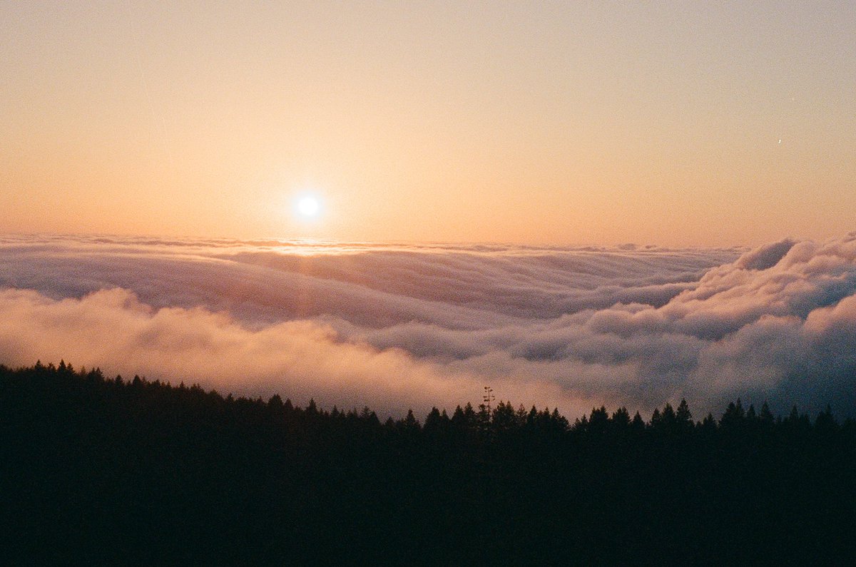 jakob_lr's tweet image. California Coast on 35mm film