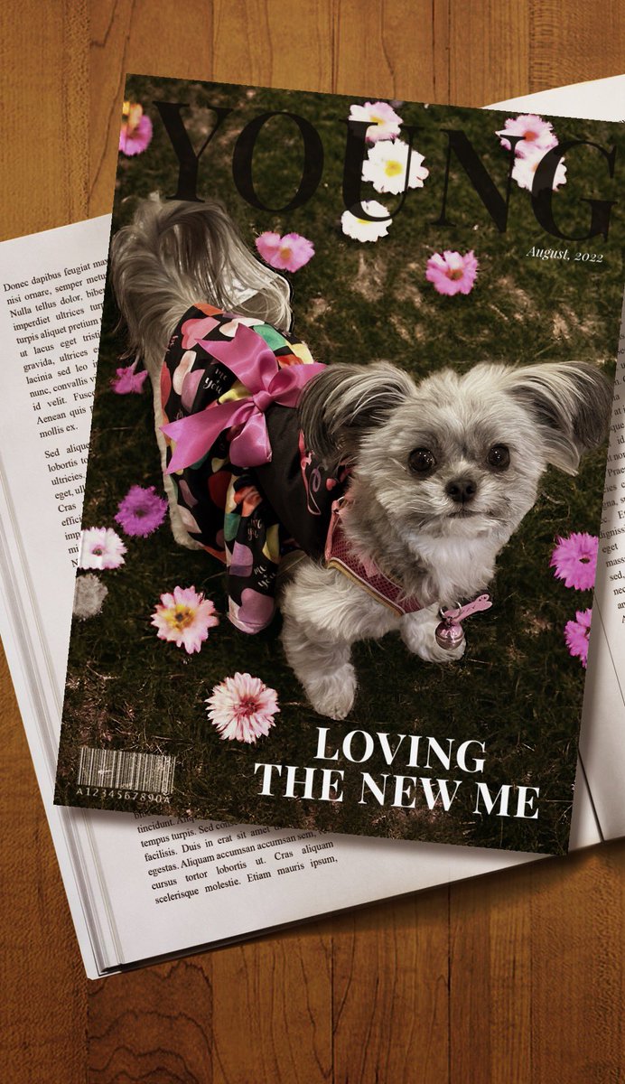 #instagram #ilovedog #dogmagazine #dogdress