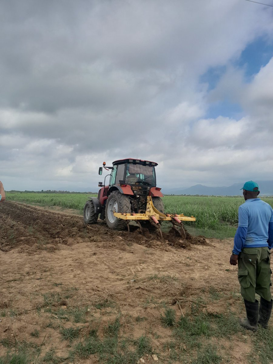 La Empresa Azucarera Artemisa incrementa el ritmo en preparación de tierra para la siembra de caña.,#ArtemisaJuntosSomosMás. @DiazCanelB.@Gla