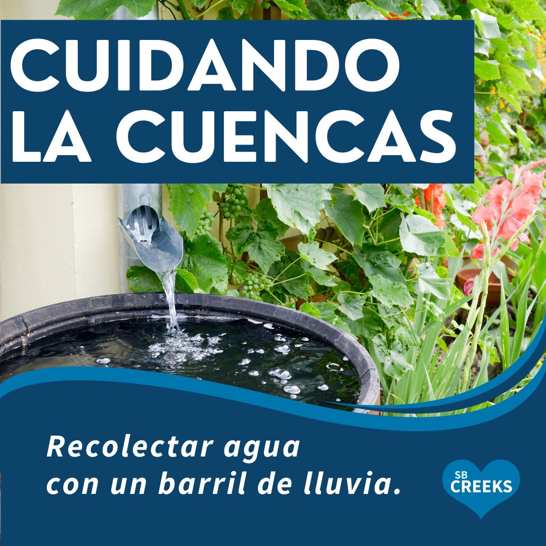 It's #WatershedWednesday
Install a rain barrel to collect rainwater for gardening and other non-potable uses.
#CuidandoDeCuencas
Instala un barril de lluvia para recolectar agua para jardinería y otros usos no potables.
#SBCreeks #SustainablySB