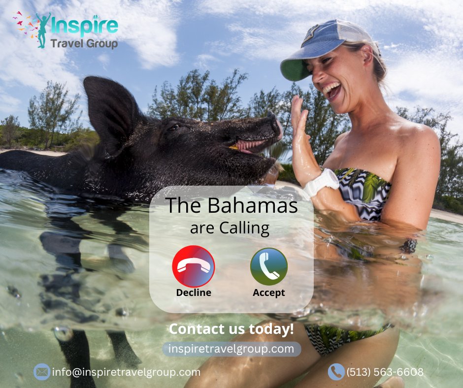 '🌊🐽 Splash into adventure with the friendliest locals in the Bahamas! 🏝️🤗 When was the last time you swam with a pig in crystal-clear waters? 
Contact Us or Book Here >> bit.ly/41PRuIy
#SwimmingPigs #BahamasBliss #JourneyBeyondExpectations'