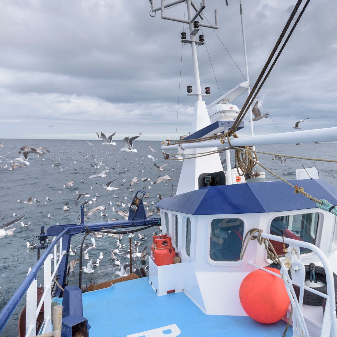 A new Fisheries report contains updates on fishery negotiations 🐟Total UK fishing opportunities worth over £970 million 📈 Increased fishing quota of around 61,000 tonnes 💷 Access to an extra £132 million in fishing opportunities post-Brexit Read more: gov.uk/government/new…