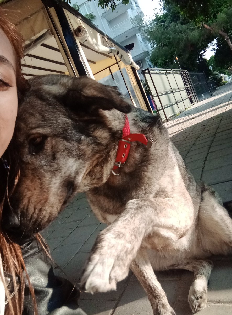 Eski iş yerinden ayrılmışsındır ama oradaki dostlarından ayrılmıyorsundur 🥺🫶🏻🧿✨🤍🎠🐾