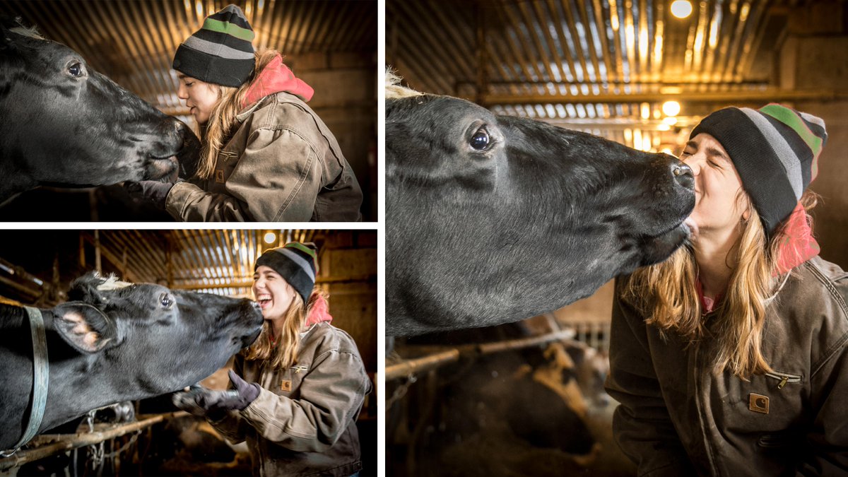 Do you have a great animal photo from your farm? Here's one of our favorite shots from AGCO's FarmLife magazine archives. Reply to share your best farm animal photos!