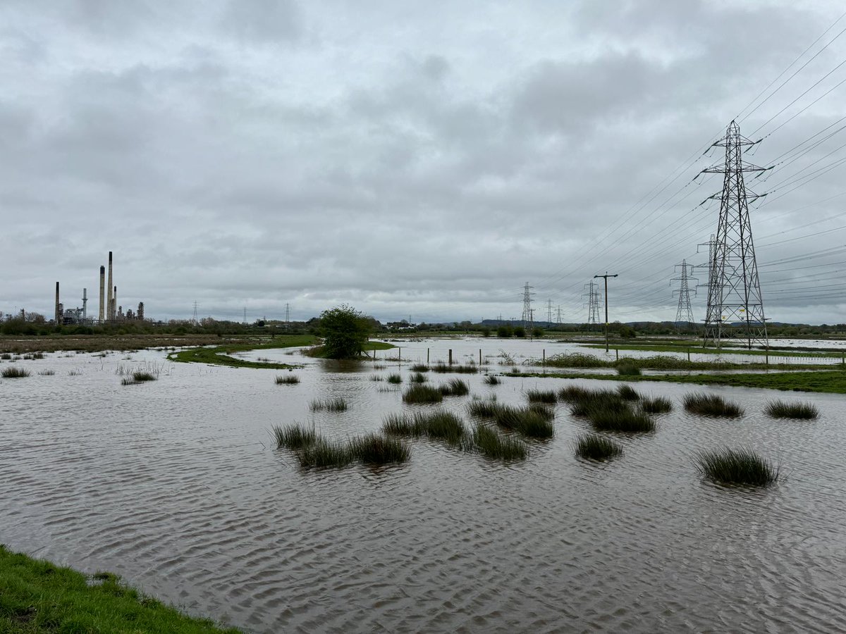 Lots of our reserves and surrounding areas are under water at the moment after all the storms we've been experiencing recently, which will not only have had an impact on wildlife but has also had a big influence on our work for wildlife. Let's pray for no more rain! 💧💧💧