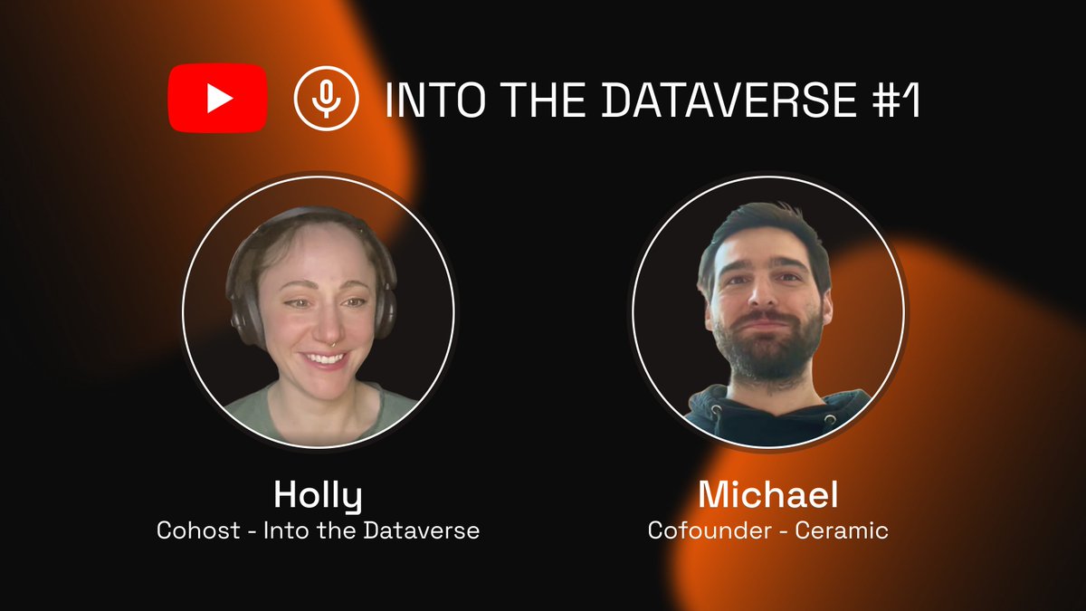 For those of you who like to get your podcasts on YouTube, we have great news for you! 📺 The first episode of 'Into the Dataverse' is now available on our channel. 🔗👇