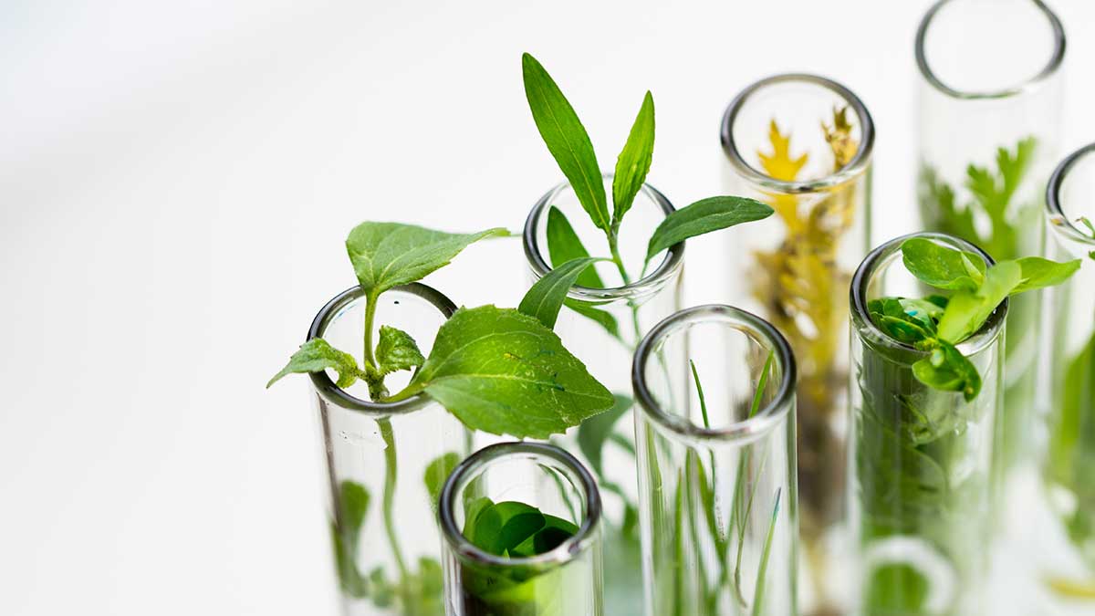 What is #Sustainable #Healthcare? Can #plantbased medicine hold answers for you? Abhay Gupta of Just Eco lays it out for us, is it time for more people to switch to natural #medical solutions? #Earth #Sustinability #Medicine bit.ly/43QuMRB