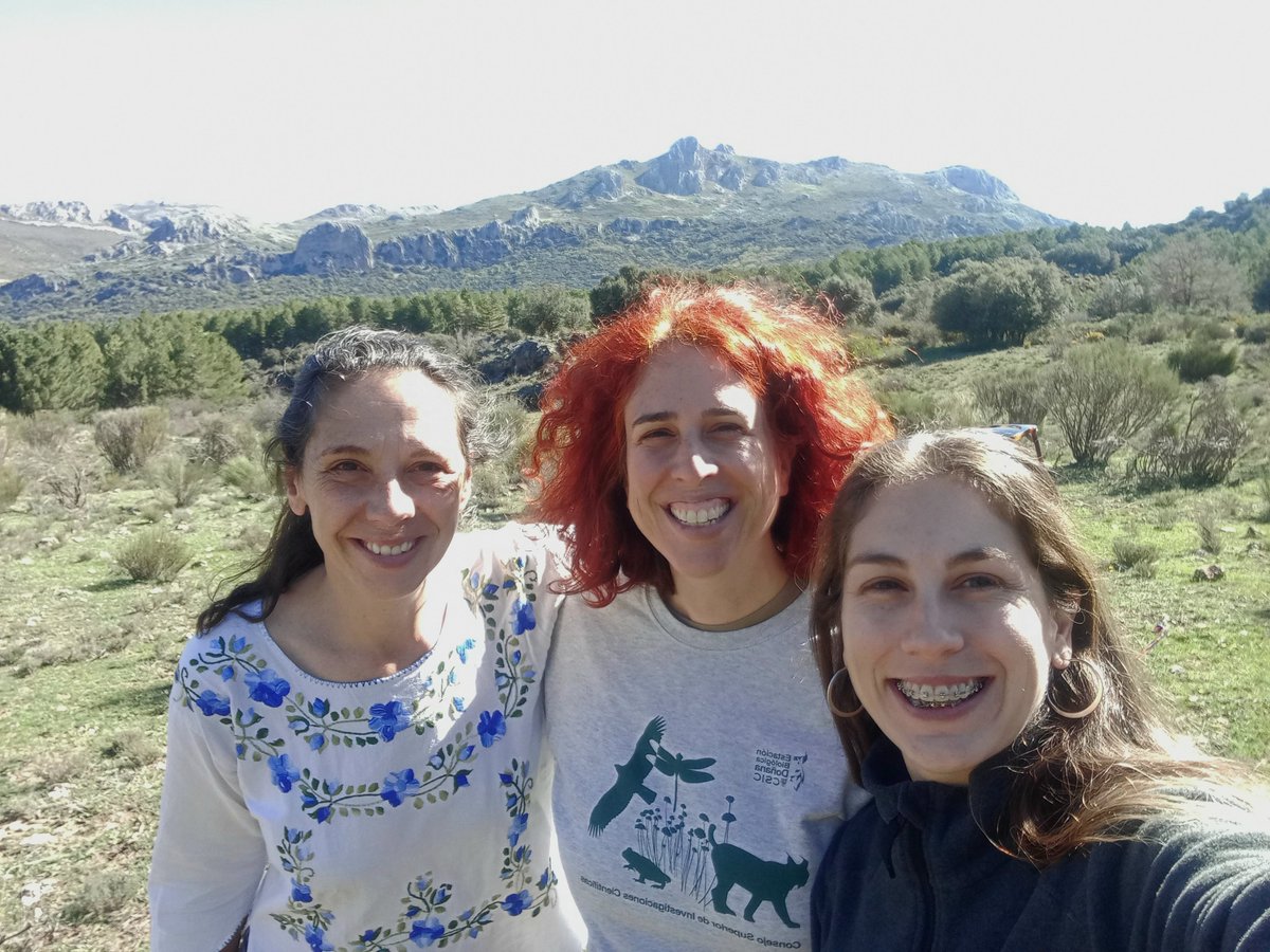 phenogirl's tweet photo. It has been a big pleasure to be in Granada for two days, discussing with @RorroDew about #ADAPTAFLOWER project. We designed methods for analyzing #Linum phenology and interactions with pollinators. It was very cool to visit study area at Sierra de Huétor and meet Macarena Marín. https://t.co/xfXkJNkIXV
