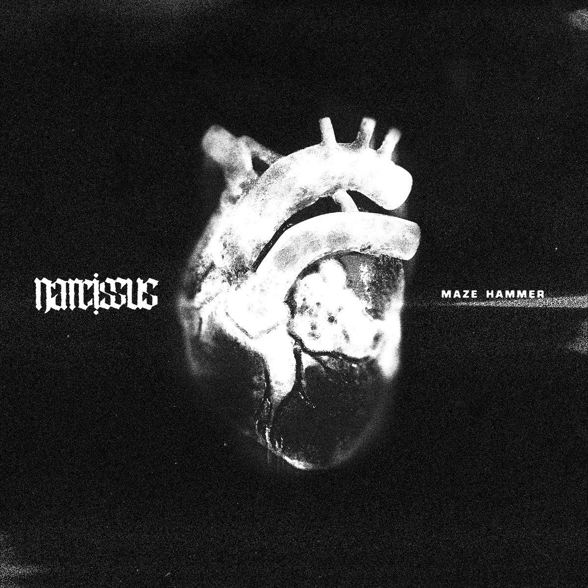 New single coming soon.