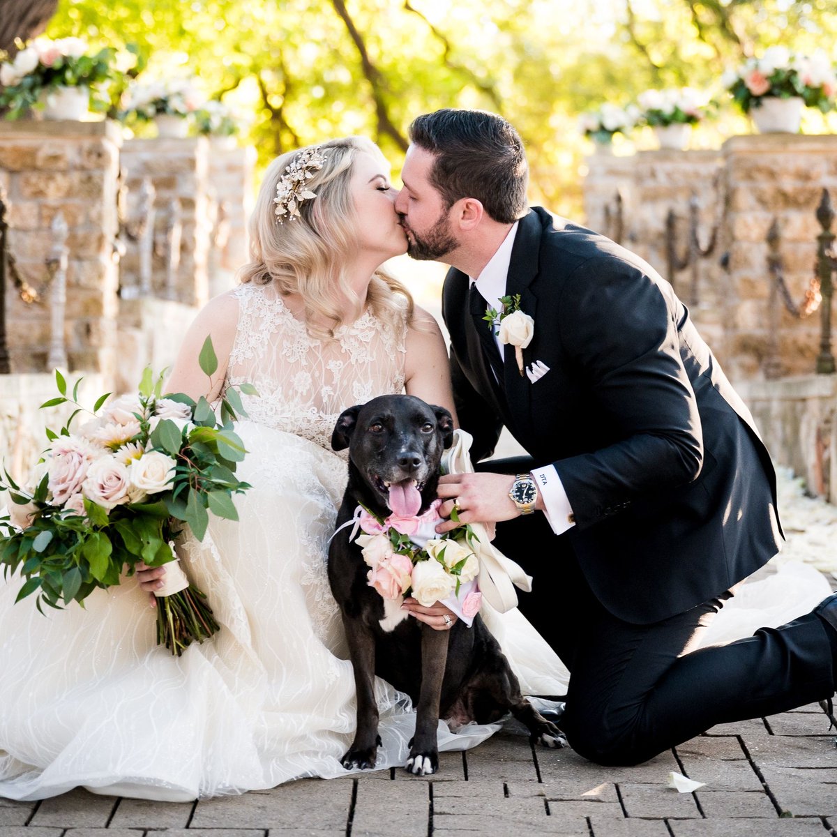 coryryanphoto's tweet photo. The Perfect Wedding Pawty! 🐶🐴 This animal-loving bride (and veterinarian! )simply couldn't bear to leave her sweet pup Nala behind on the most special day of her life. And while we are at it, why not have some adorable donkeys to deliver beers to guests, too? 🐾 https://t.co/hbvY1MJ3oc